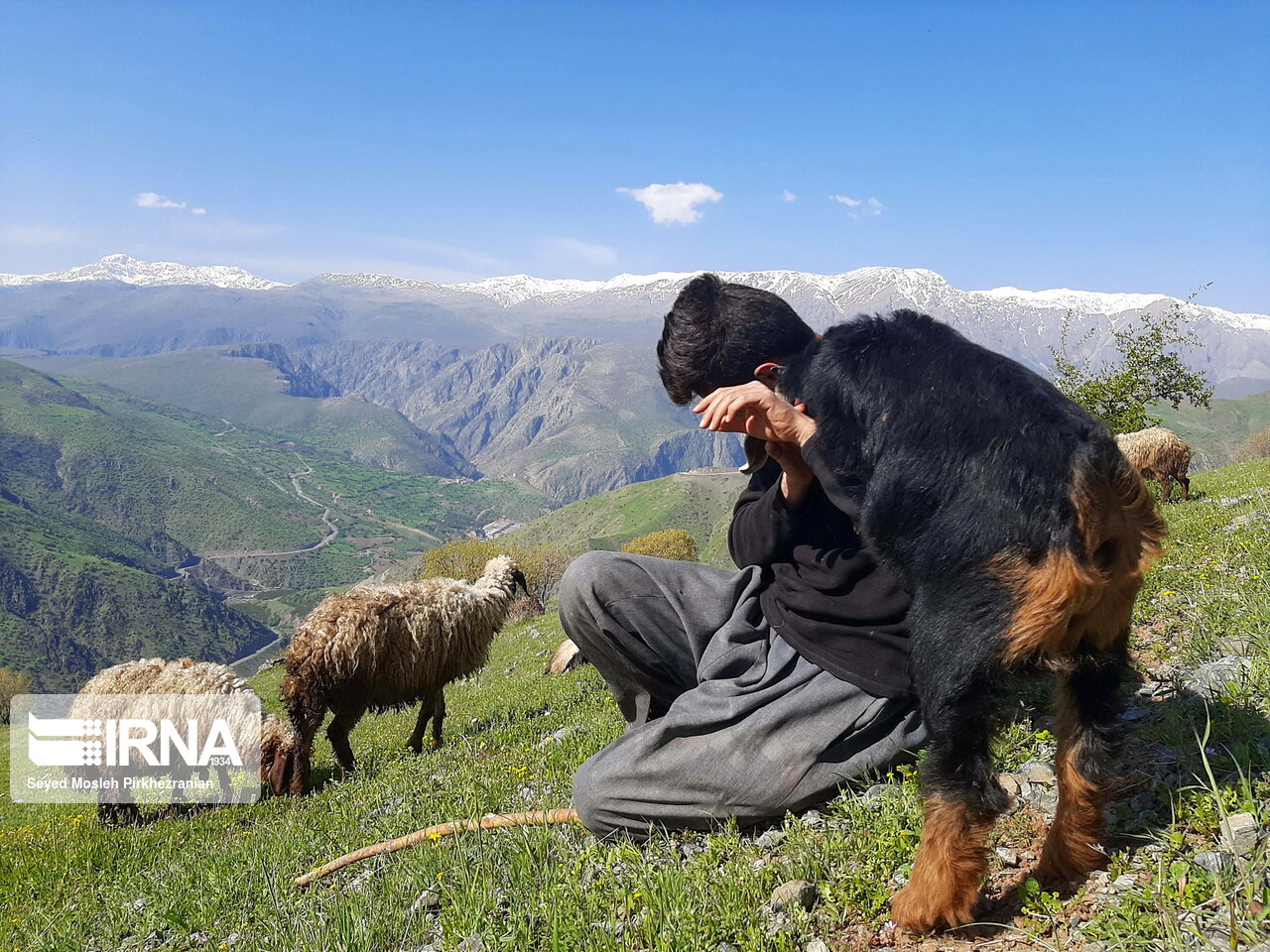 عکس بهار طبیعت در دامنه کوه شاهو جهان نيوز