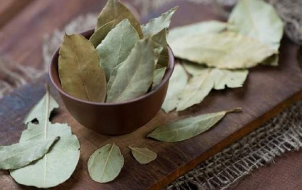 با برگ بو به جنگ سرماخوردگی و آنفلوانزا بروید با برگ بو به جنگ سرماخوردگی و آنفلوانزا بروید