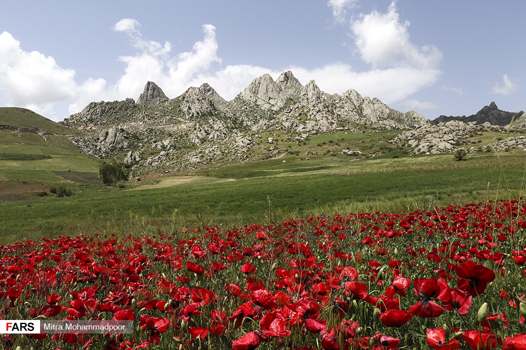 عکس طبیعت زیبای منطقه ارسباران جهان نيوز