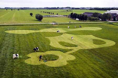 یک باغبان و طراحی تصویر یک گل بر روی مزرعه اش در هلند