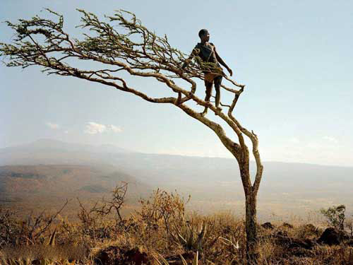 يك شكارچي از قبيله هادزا در تانزانيا براي مشاهده پيرامونش بر فراز درختي ايستاده است.