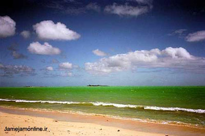 تصوير زيبايي از يك ساحل رويايي در مجمع‌الجزاير باهاما. عكس نيكول هيريگويان.