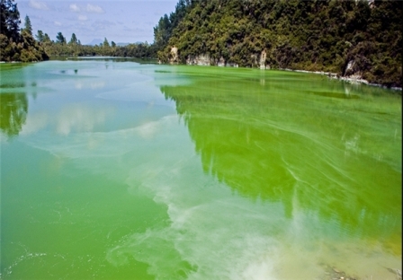 دریاچه «نگاکورو» در نیوزلند