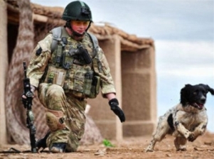 نشان‌شجاعت ارتش انگلیس به سگ+عکس