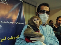 میمون فضانورد ایرانی در۱۲۰ کیلومتری زمین