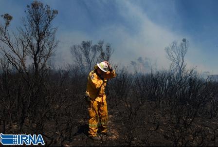 آتش نشان داوطلب استرالیایی در منطفه ˈنیو ساوت ولزˈ.