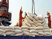 ایران یک سوم برنج هند را خرید/ چراغ سبز به برنج بی‌کیفیت