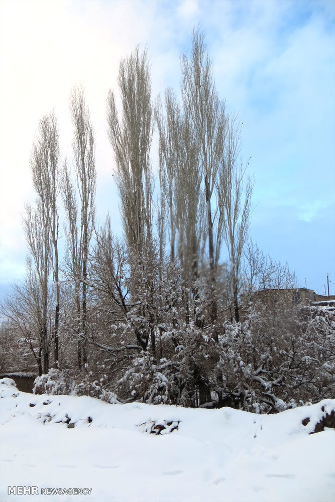 تصاویر ی زیبا از زمستان پسوجان کرمان