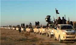 آمار جدید سازمان ملل از افزایش افراد داعش