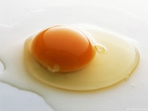 تخم مرغ ضامن‌ سلامتی