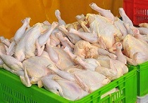 قیمت مرغ به کف رسید!