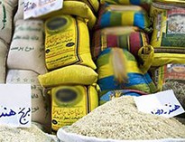 ادارات‌دولتی و مراکز پرمصرف مقصد‌برنج‌ها/فرصت ۲ ماهه برای خوراندن ۱۳۰ هزار تن برنج به مردم