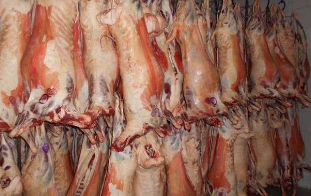 توزیع گوشت گرم دولتی در بازار ادامه دارد