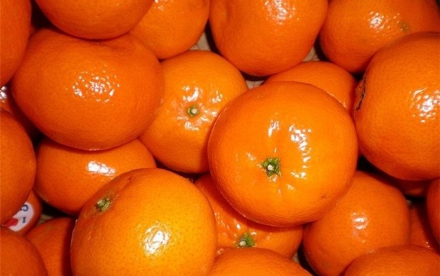 ورود نارنگی قاچاق پاکستان