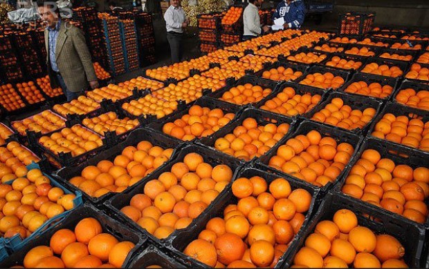 قیمت پرتقال تنظیم بازار کاهش یافت