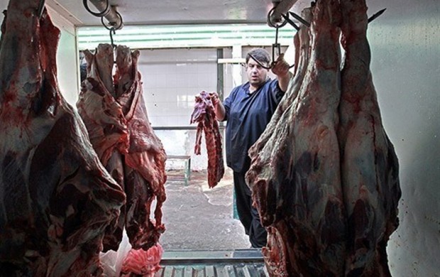 تنظیم بازار گوشت قرمز و پدیده "گوشت زابلی"