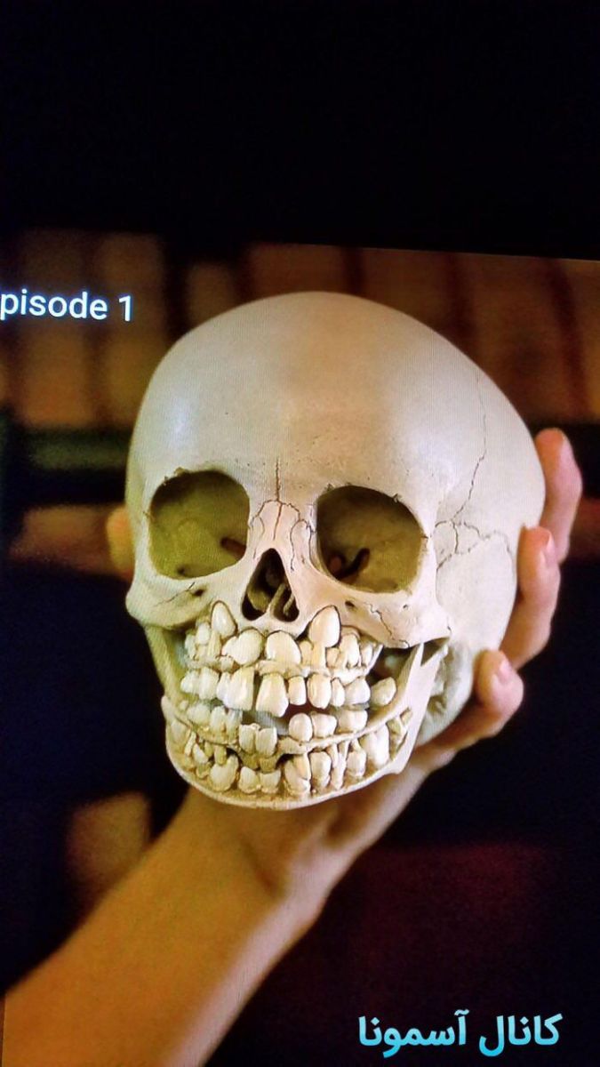 جمجمه‌ی‌بچه‌با دندان‌های‌شیری جهان نيوز