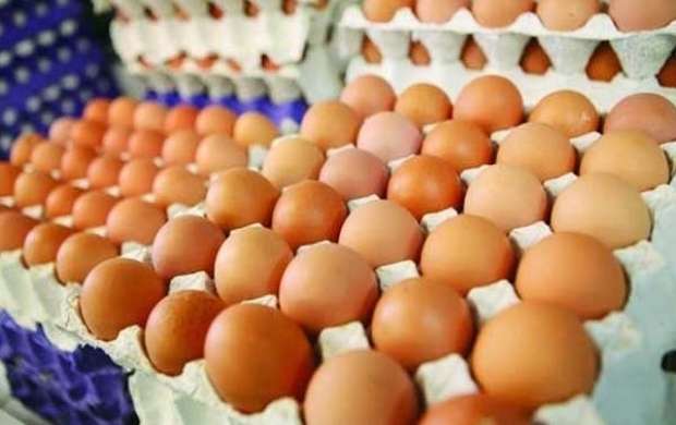 هشدار درباره صفر شدن صادرات تخم مرغ ایران