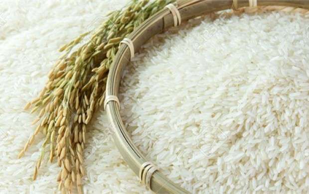 افزایش ۱۰۰ درصدی قیمت برنج