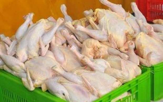 قیمت مرغ در آستانه ۹۰۰۰ تومان