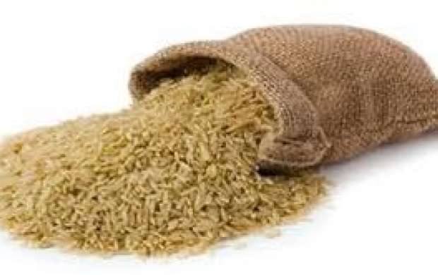 پرونده برنج های آلوده در چه مرحله ای است؟