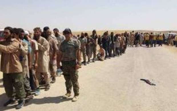 800 داعشی به کردستان عراق پناه بردند