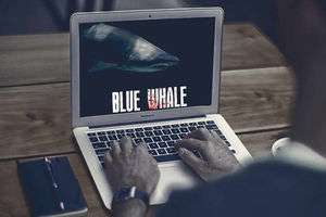 چگونه وارد بازی «نهنگ آبی» شدیم + تصاویر