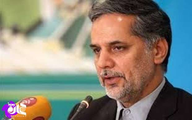 نقوی حسینی:دولت درروابط بافرانسه تجدیدنظر کند