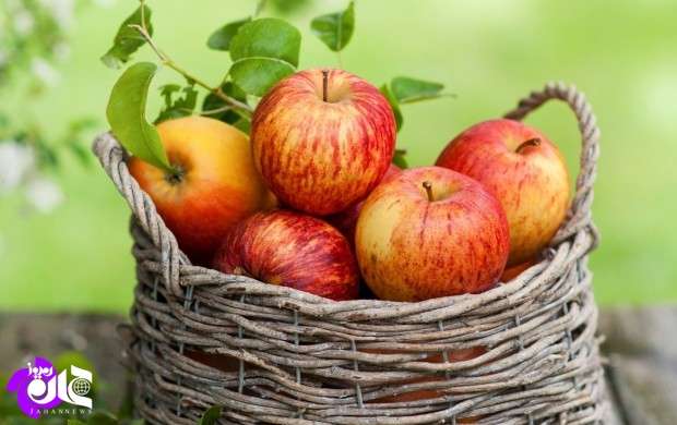 زخم بازار سیب بر دستان باغداران