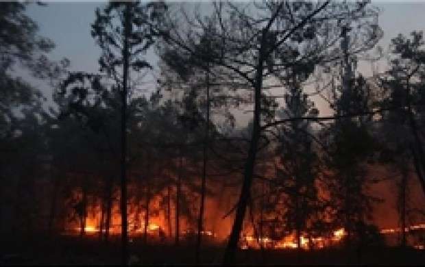 آتش سوزی در حاشیه پارک ملی گلستان