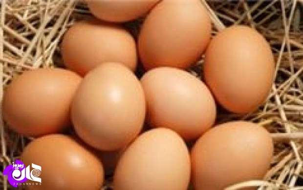 اعتراض نمایندگان مجلس به گرانی«‌تخم مرغ»