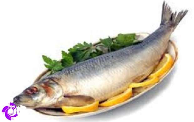 خوردن ماهي زنده چه حكمي دارد؟