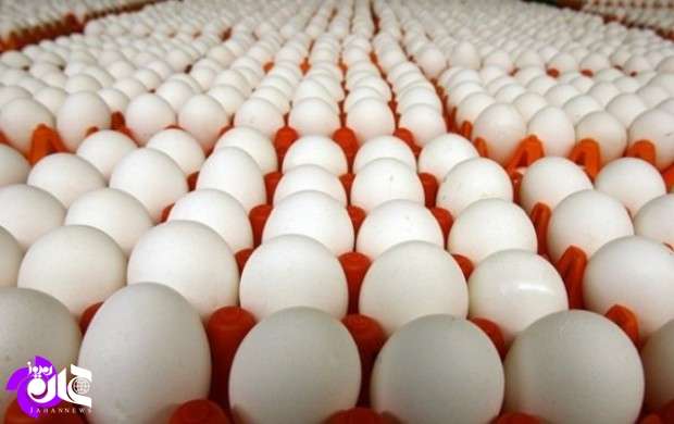 مافیای واردات پشت پرده افزایش قیمت تخم‌مرغ