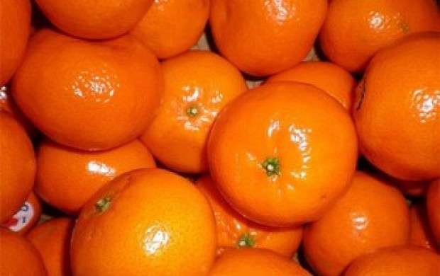 نارنگی در بازار همچنان می‌تازد