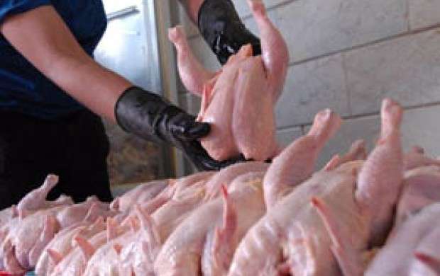 افزایش تولید مرغ توجیه اقتصادی ندارد