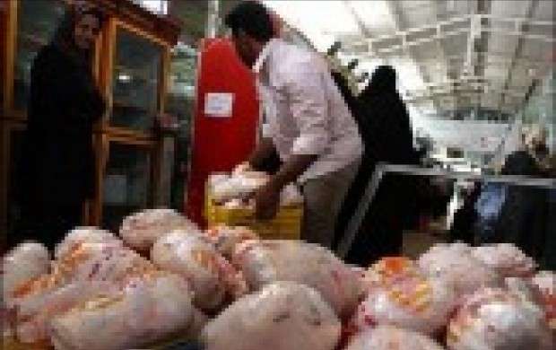 افزایش قیمت مرغ در آینده‌ای نزدیک