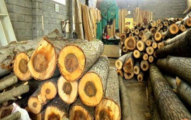 ۷۰ درصد بازار چوب ایران، وارداتی است