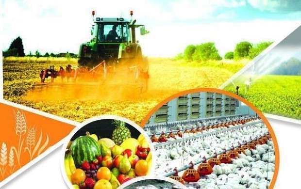 افزایش ٢١ درصدی تسهیلات بخش کشاورزی