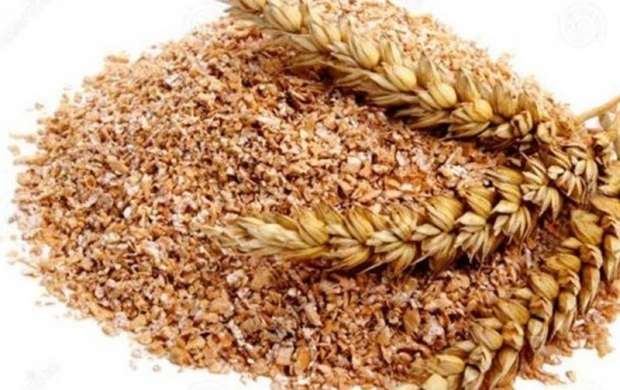 تولید گندم ایران ۳ برابر شد