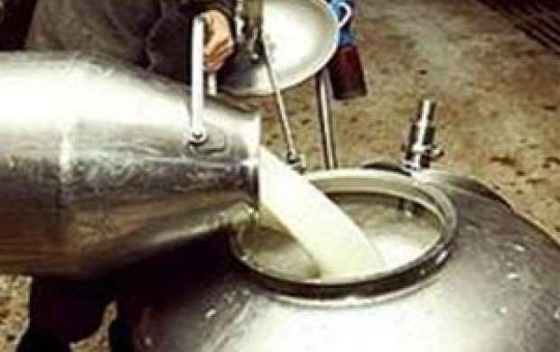 قیمت تمام شده شیر خام ۲۰درصد افزایش یافت