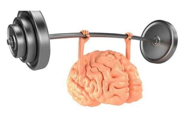 ورزش مغزی روش مناسب برای پیشگیری از تحلیل بافت مغز
