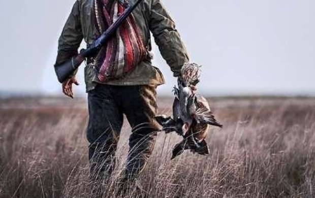 شکار پرندگان در طالقان ممنوع!