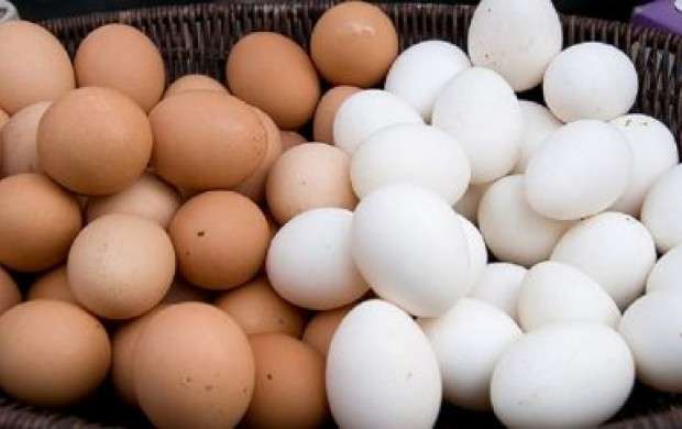 بازار تخم‌مرغ سال دیگر متعادل می‌شود!