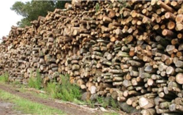 میانگین 2میلیون مترمکعبی مصرف چوب قاچاق