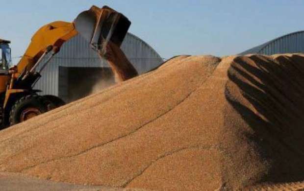 کاهش میزان واردات گندم ایران از روسیه