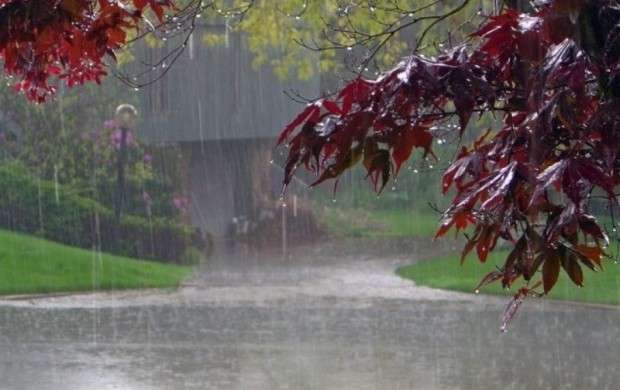 باران پراکنده در ۱۱ استان می‌بارد