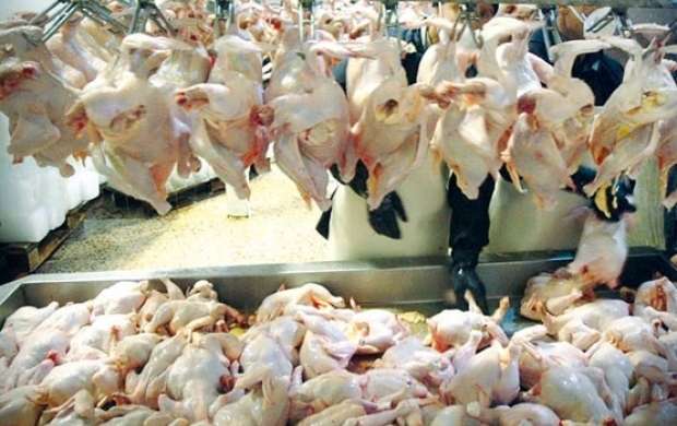 کاهش جزئی قیمت مرغ در بازار