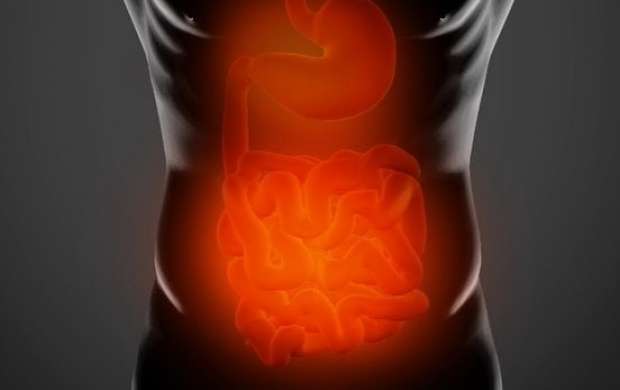 باکتری‌های روده کوچک چه نقشی در چاقی دارند؟