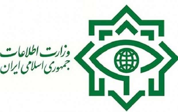 واکنش وزارت اطلاعات به گزارش تفحص مجلس از دوتابعیتی‌ها