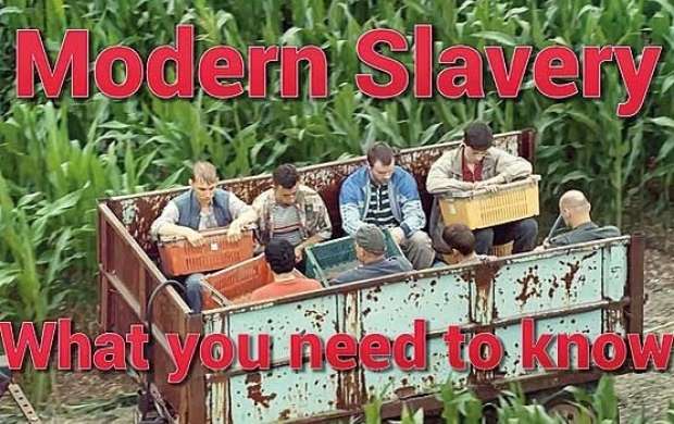 صنعت برده‌داری در آمریکا